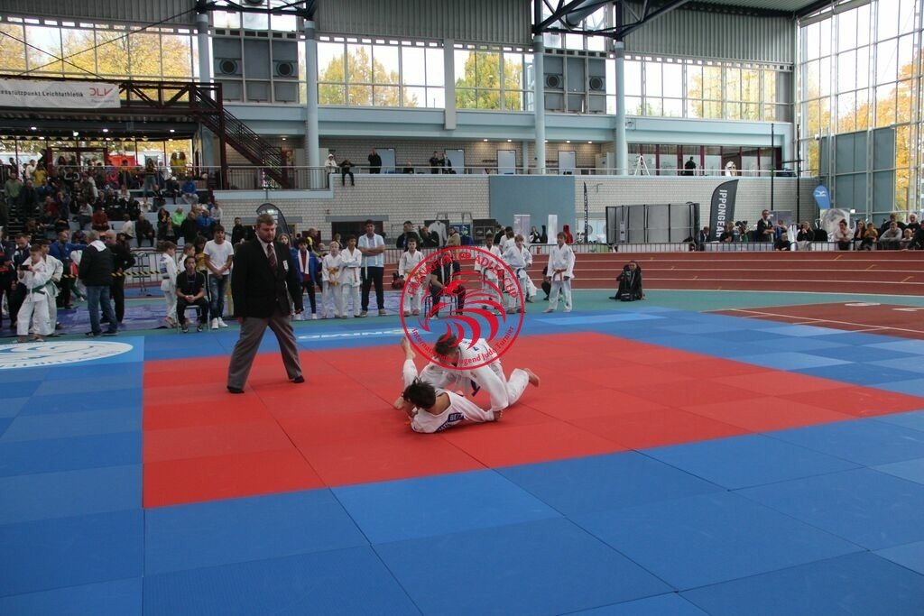 IMG_3308 | Fotos vom Adler Cup - Pictures from Adler Cup

Hier findet Ihr alle Eindrücke und großen Momente der Adler Cup Wochenenden. Here you will find all impressions and great moments of the Adler Cup weekends. - Realisiert mit Pictrs.com