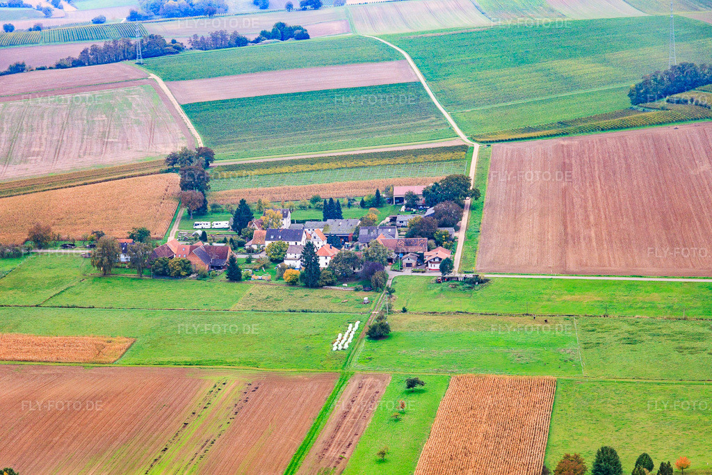 Luftbild: Eichenhof im Ortsteil Deutschhof in Kapellen-Drusweiler im Bundesland Rheinland-Pfalz in Deutschland. Foto: IMG_149992.jpg vom 10.10.2025 durch Werner Riehm/FLY-FOTO.de