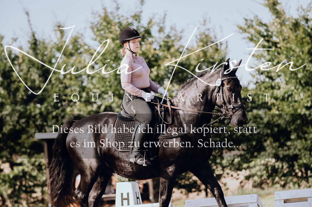 DSC_7026 | Pferde- und Turnierfotografie in Westsachsen. Pferdeportraits, Auftragszeichnungen und intuitive Kunst.