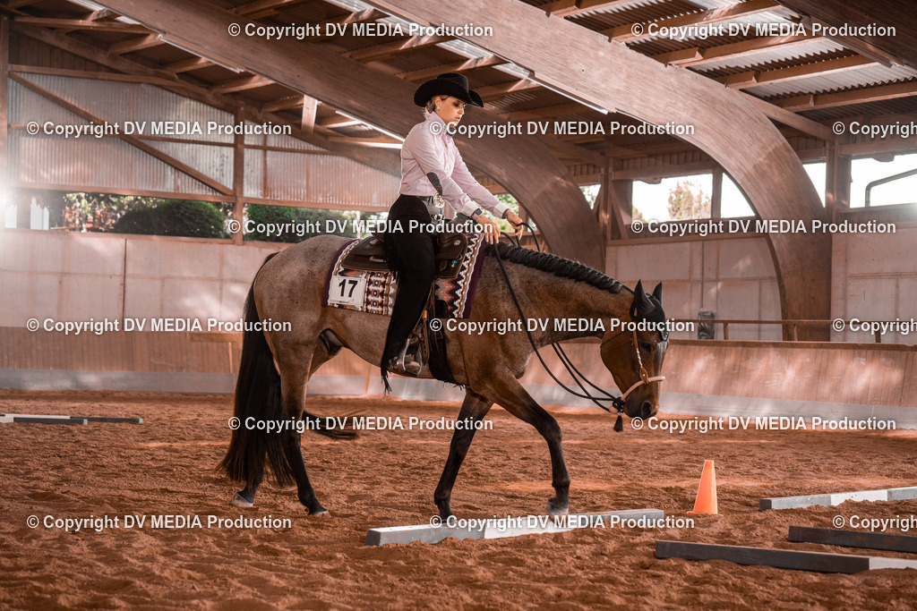 NE200131 | dv-media-shop - Realisiert mit Pictrs.com