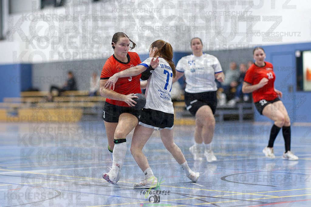 Frauen 2. Bezirksklasse; SG Rechtenbach - HSG Linden II | Frauen 2. Bezirksklasse; SG Rechtenbach - HSG Linden II am 16.11.2025 in Rechtenbach (Sporthalle Rechtenbach)Photo © 2025 - Jörg Heinrich - Realisiert mit Pictrs.com