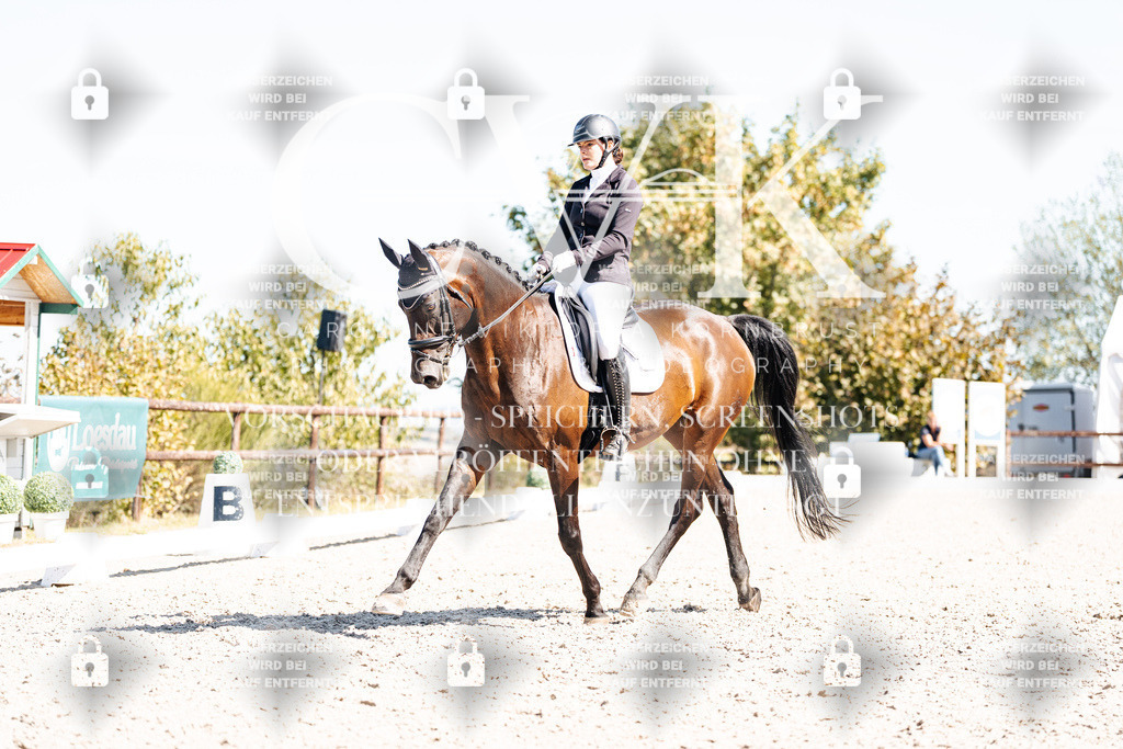 CK909727 | Turnierfotografie Pferdefotografie Trier Rheinland-Pfalz Pferdesport Reitsport Tierfotografie Sportfotografie Pferdevideo Pferdevideografie Equestrianvideography equestrianphotography  - Realisiert mit Pictrs.com