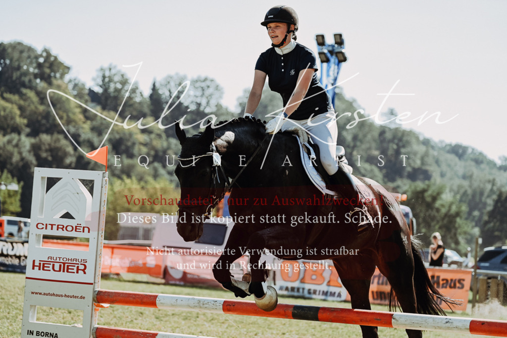 DSC_6631 | Pferde- und Turnierfotografie in Westsachsen. Pferdeportraits, Auftragszeichnungen und intuitive Kunst.