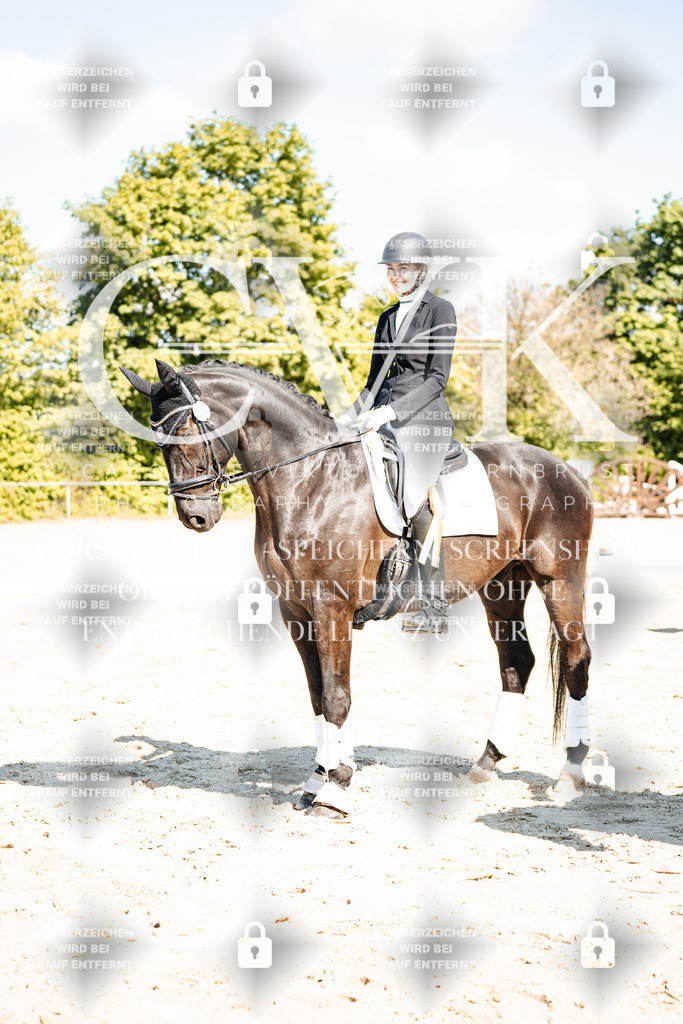 CK703559 | Turnierfotografie Pferdefotografie Trier Rheinland-Pfalz Pferdesport Reitsport Tierfotografie Sportfotografie Pferdevideo Pferdevideografie Equestrianvideography equestrianphotography  - Realisiert mit Pictrs.com