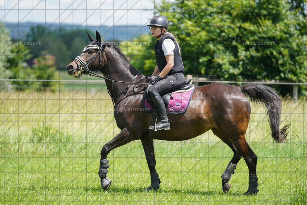 20240622-FAH07239 | Turnierfotografen Bayern, Reitsportbilder aus dem Geländekurs mit Felix Etzel auf dem Gut Waitzacker 2024
