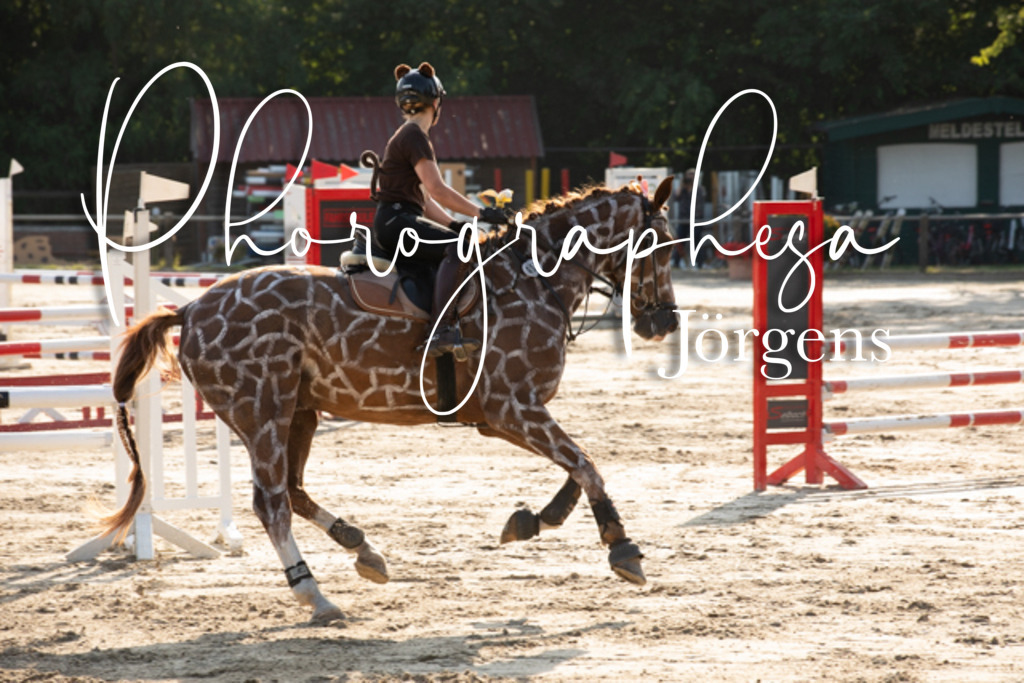 IMG_3596 | photographesa-joergens - Realisiert mit Pictrs.com