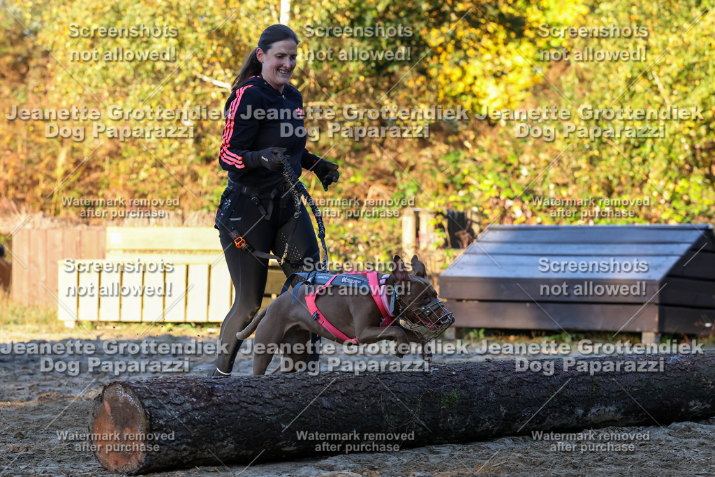 Dog Paparazzi - Strongdog 10-25-676 | Dog Paparazzi Jeanette Grottendiek Fotografie & Videografie - Realisiert mit Pictrs.com