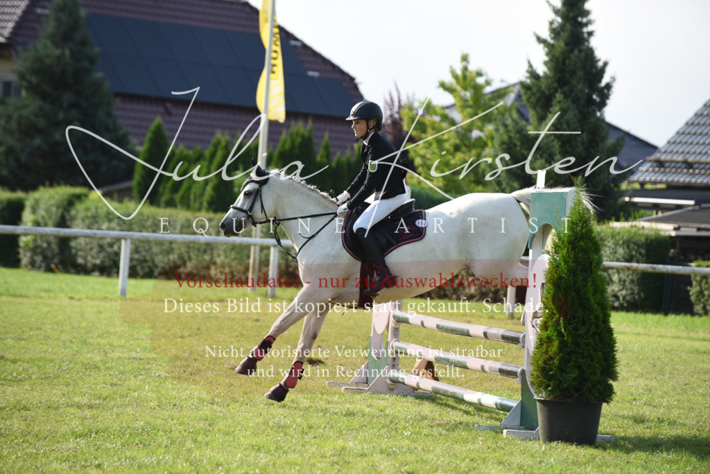 DSC_8643 | Pferde- und Turnierfotografie in Westsachsen. Pferdeportraits, Auftragszeichnungen und intuitive Kunst.