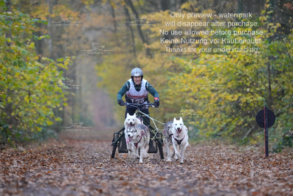 Rigs4bis8So-36 | stephaniefillaphotographie - Realisiert mit Pictrs.com