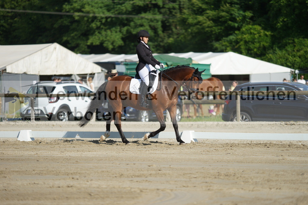 DSC04082 | equestrian-live-com