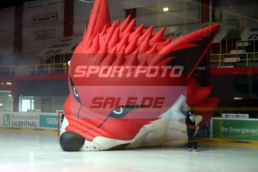 Füchse Duisburg | Füchse Duisburg - Realisiert mit Pictrs.com