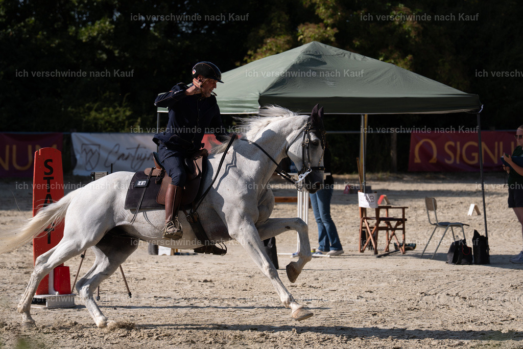 WS_SP_49_SinaFilmArt_IN09250 | working equitationturnier fotograf videograf stoibphotography marixx film working equitation deutschland reitsport turnierfotografie eventfotografie equestrian events