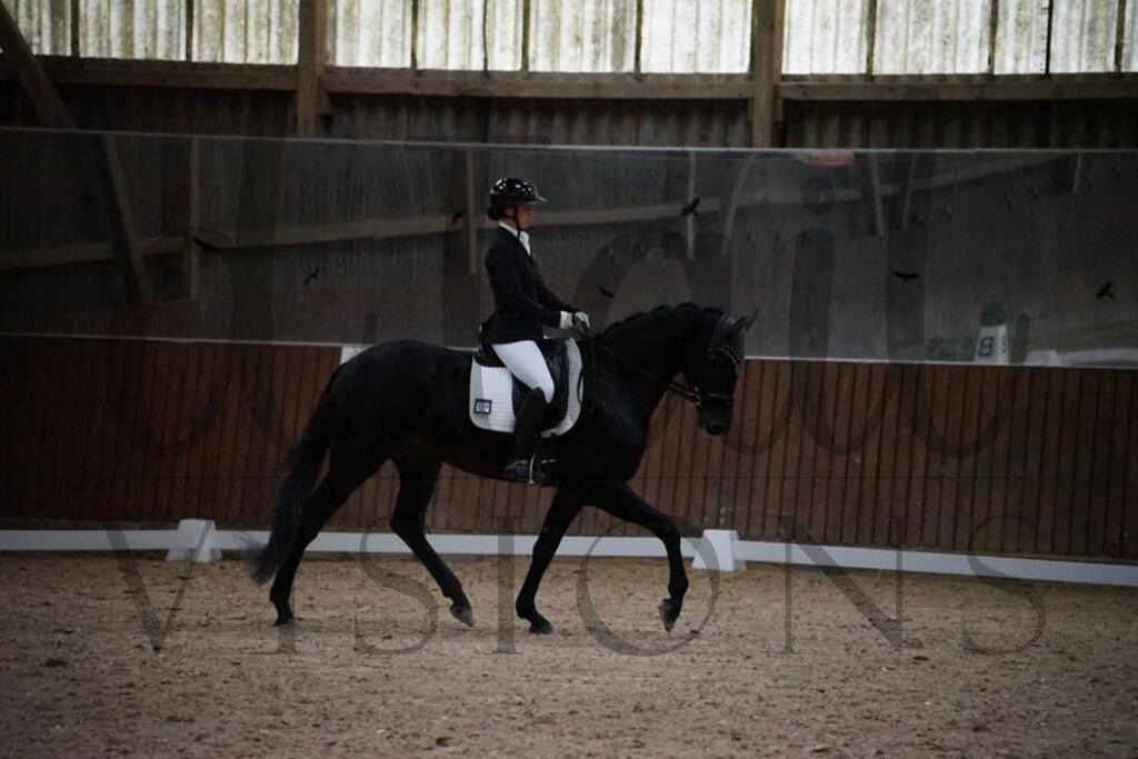 rsg berghof (75) | d.tail Visions - Shop - Realisiert mit Pictrs.com