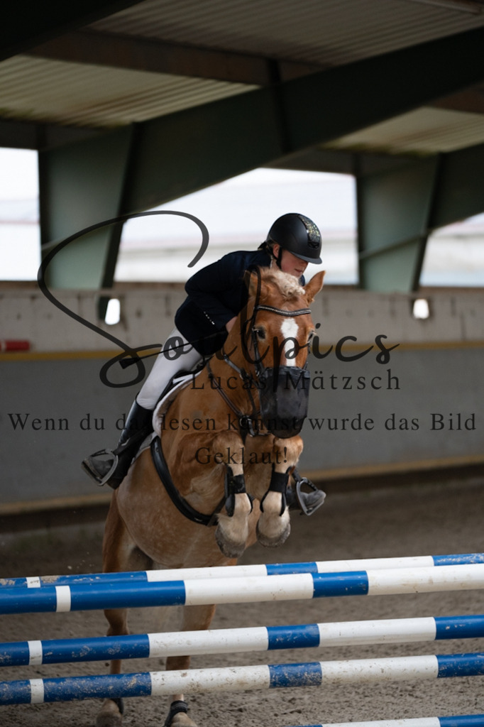 A7V07275 | Pferdefotograf