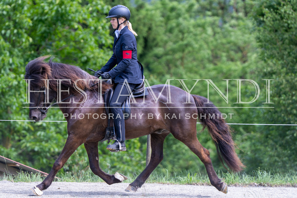 KAI02515 | Ihr sucht einen Fotografen für eure nächste OSI? Ich begleite auch euer Turnier für Islandpferde fotografisch.  - Realisiert mit Pictrs.com