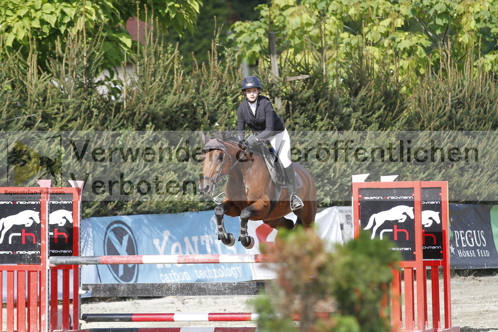 _MG_3538 | equestrian-live-com