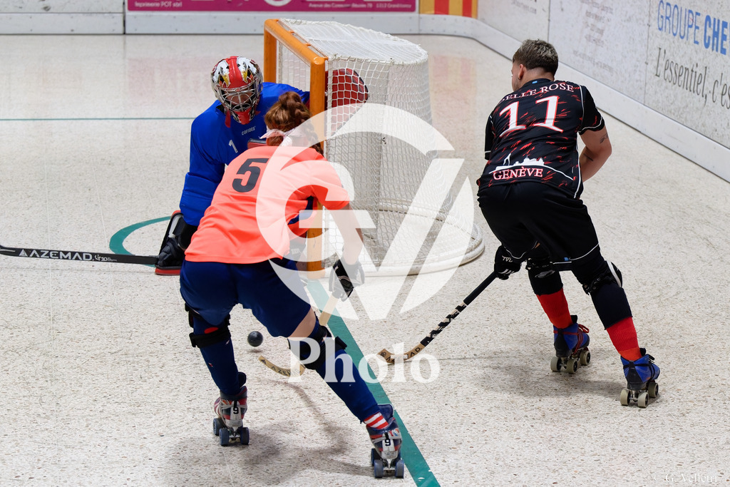 DSC_2989 | Velletri Photo