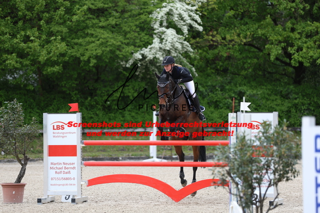 A40A4723 | lmwpictures - Realisiert mit Pictrs.com