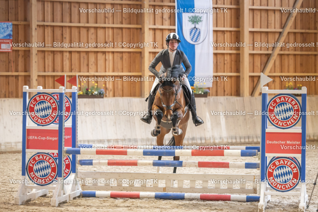 _D5A7267 | Emotionale Pferde- & People-Fotografie rund um Heidelberg, Leimen & Umgebung. Natürliche Fotos von Pferd, Mensch & Familie. Jetzt Termin sichern!