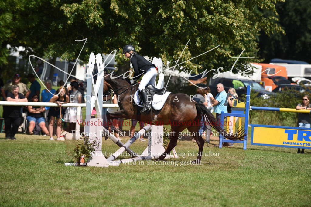 DSC_0065 | Pferde- und Turnierfotografie in Westsachsen. Pferdeportraits, Auftragszeichnungen und intuitive Kunst.