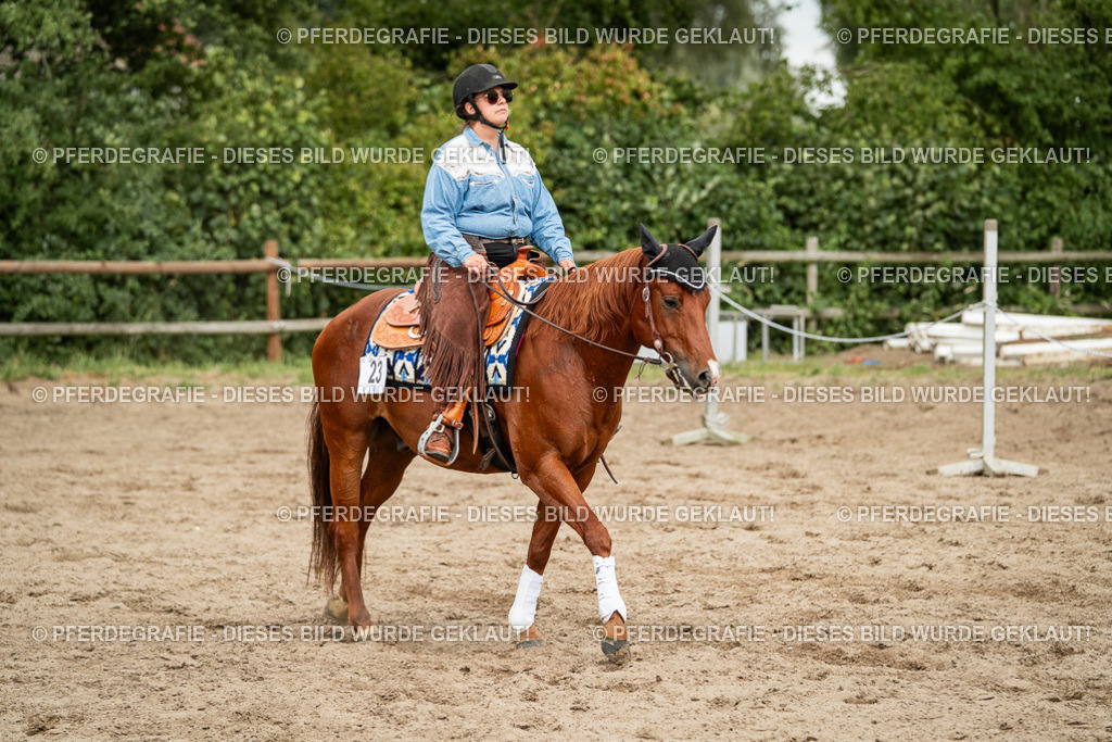 DSC03332 | Pferdegrafie