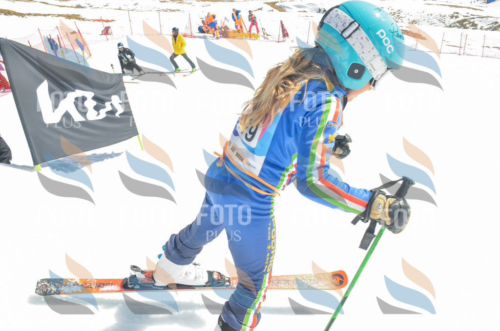 _ELE5998 | holidayphoto