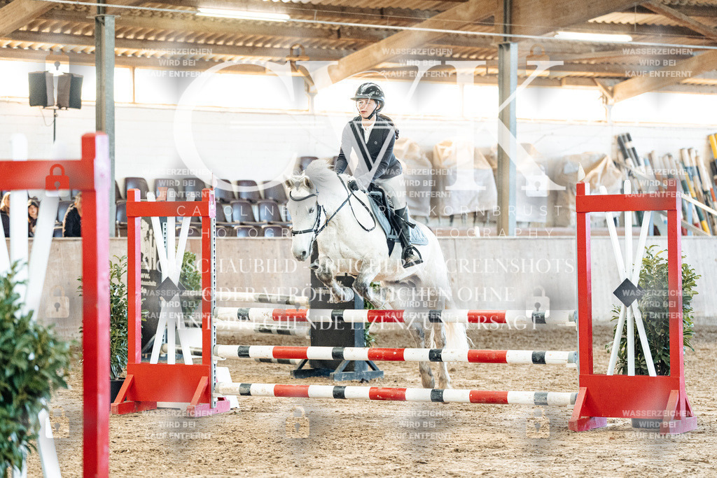 CK904824 | Turnierfotografie Pferdefotografie Trier Rheinland-Pfalz Pferdesport Reitsport Tierfotografie Sportfotografie Pferdevideo Pferdevideografie Equestrianvideography equestrianphotography  - Realized with Pictrs.com