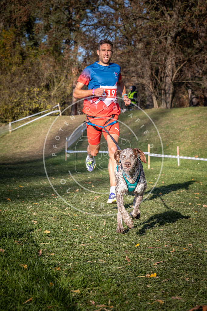 CaniXpix_0L8A8767 | Hundefotografie, Tierfotograf, Pfotenfotografie, Fotoshooting Hund, Hunde Portrait, Hundesport, Hundeportraits, Heideshooting, Hunde, Sportfotograf, Hundefotograf, Turnierhundsport, THS,  - Realisiert mit Pictrs.com