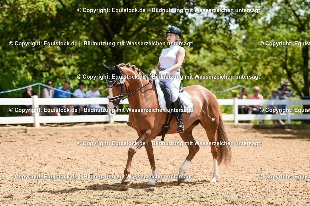 20230716_03_Dressurprfg. Kl.L - Tr._0486 | equistock