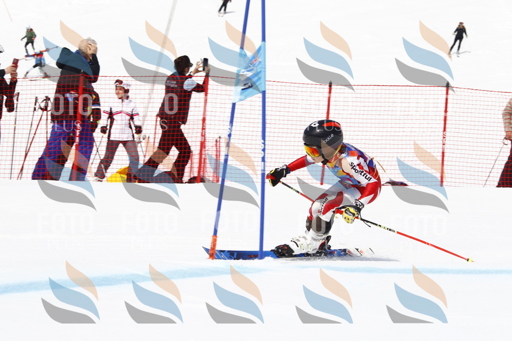 _U3G5329 | holidayphoto