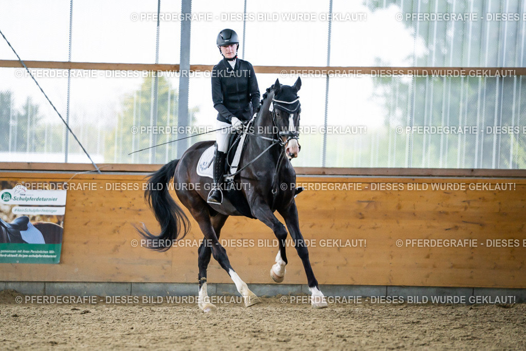 DSC04205 | Pferdegrafie