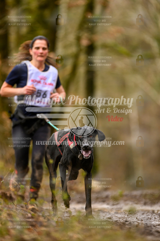 MompixPhotography_CDSM24_SA_CCL-213 | PayLife