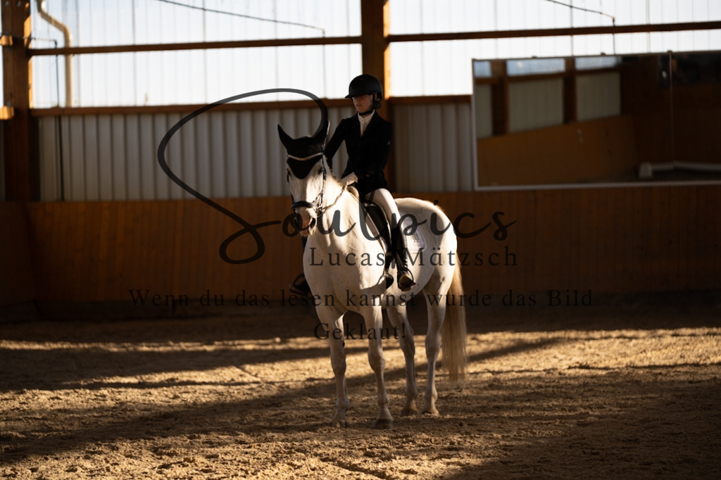 A7V01668 | Turnier/Reitfotograf