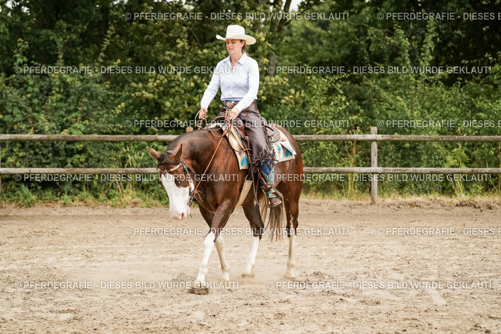 DSC09144 | Pferdegrafie