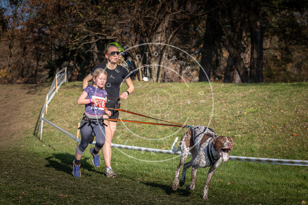CaniXpix_0L8A8634 | Hundefotografie, Tierfotograf, Pfotenfotografie, Fotoshooting Hund, Hunde Portrait, Hundesport, Hundeportraits, Heideshooting, Hunde, Sportfotograf, Hundefotograf, Turnierhundsport, THS,  - Realisiert mit Pictrs.com