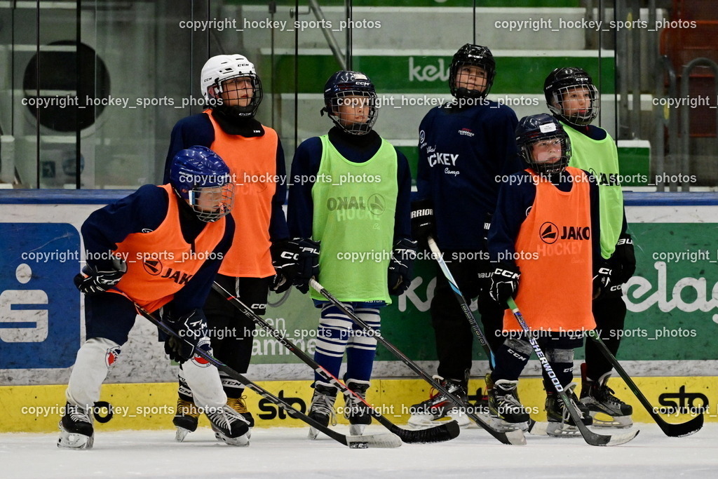 Z9B_3535 | hockey sports photos, Pressefotos, Sportfotos, hockey247, win 2day icehockeyleague, Handball Austria, Floorball Austria, ÖVV, Kärntner Eishockeyverband, KEHV, KFV, Kärntner Fussballverband, Österreichischer Volleyballverband, Alps Hockey League, ÖFB, 