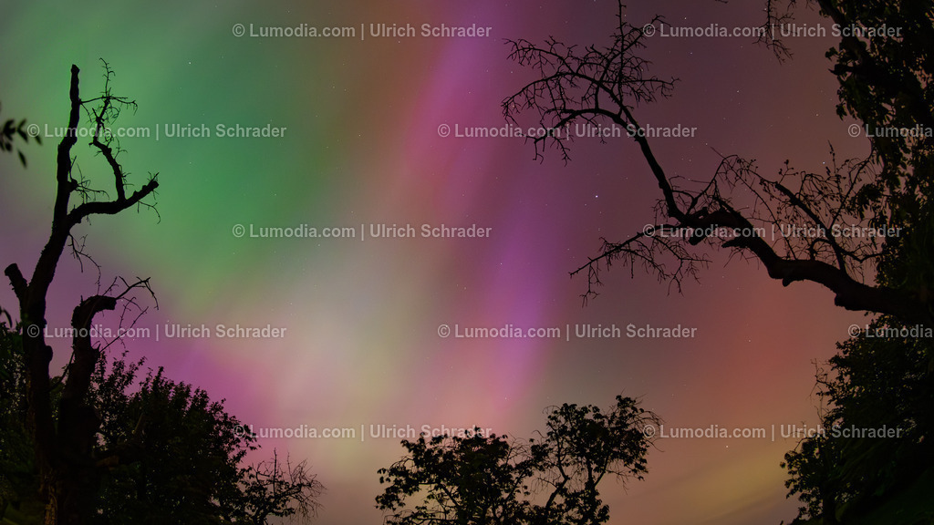 10049-13685 - Polarlichter im Harzkreis | Stockfoto und Bilderpool mit Bildmaterial aus Deutschland, dem Harz, Halberstadt, Quedlinburg, Wernigerode und weltweit. Qualitativ hochwertige und professionelle Fotos anschauen und kaufen. - Realisiert mit Pictrs.com