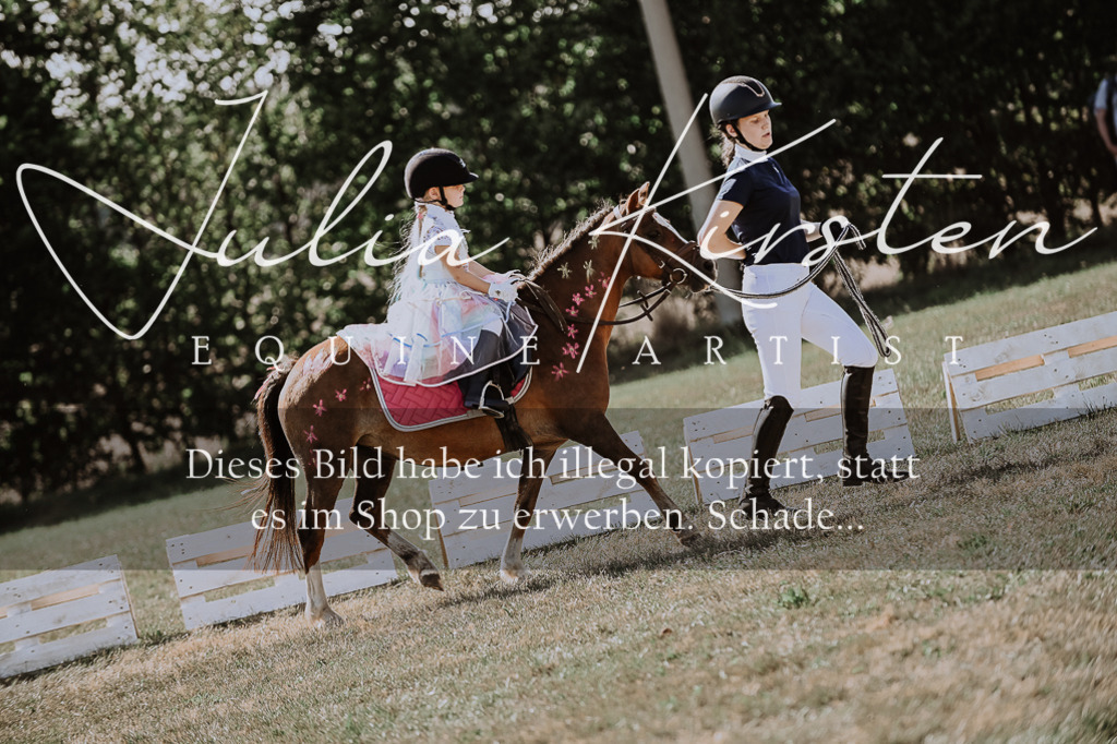 DSC_9179 | Pferde- und Turnierfotografie in Westsachsen. Pferdeportraits, Auftragszeichnungen und intuitive Kunst.