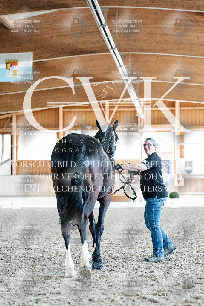 CK908044 | Turnierfotografie Pferdefotografie Trier Rheinland-Pfalz Pferdesport Reitsport Tierfotografie Sportfotografie Pferdevideo Pferdevideografie Equestrianvideography equestrianphotography  - Realisiert mit Pictrs.com
