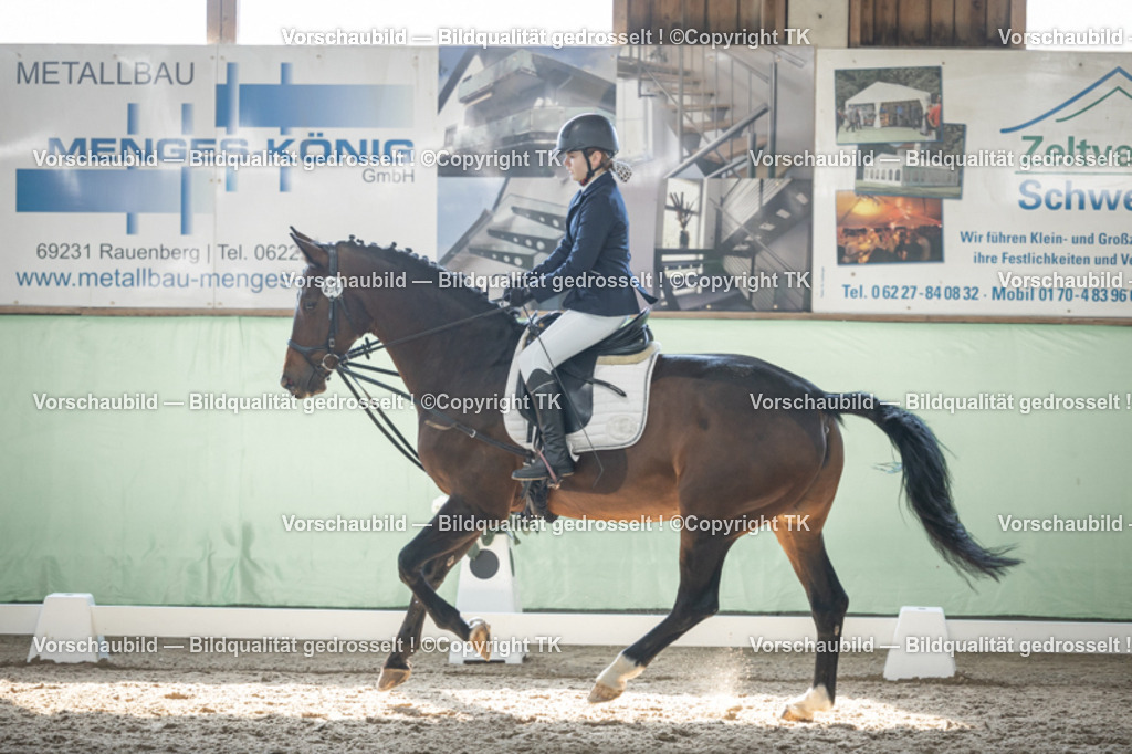 _D5A8988 | Emotionale Pferde- & People-Fotografie rund um Heidelberg, Leimen & Umgebung. Natürliche Fotos von Pferd, Mensch & Familie. Jetzt Termin sichern!