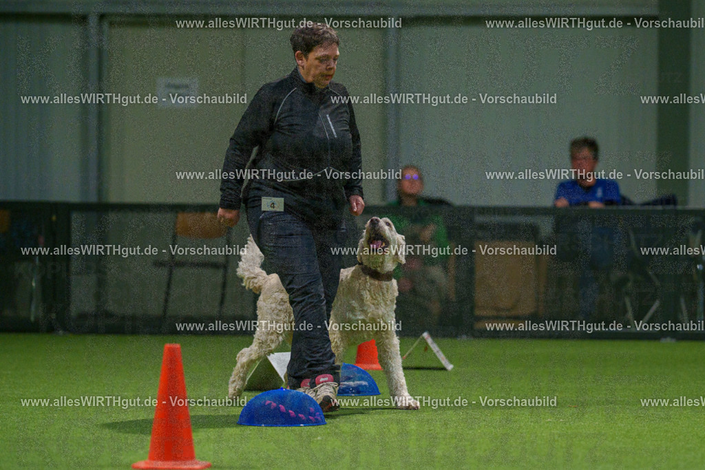 7R504287 | Professionelle Tierfotografie in Mönchengladbach von Daniel Wirth (allesWIRTHgut). Liebevolle & natürliche Bilder von Hunden & Katzen für unvergessliche Erinnerungen.