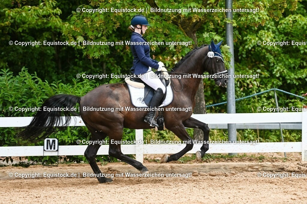 20230716_03_Dressurprfg. Kl.L - Tr._0635 | equistock