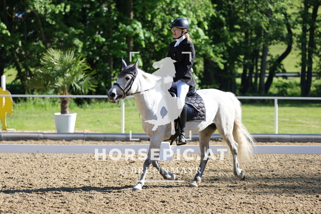 0P6A9469 | Willkommen bei Brunnmayr - Design & Fotografie – Ihrem Spezialisten für Reitturniere und Pferdeveranstaltungen in Oberösterreich, Salzburg und Bayern! Seit über 17 Jahren sind wir leidenschaftlich dabei.