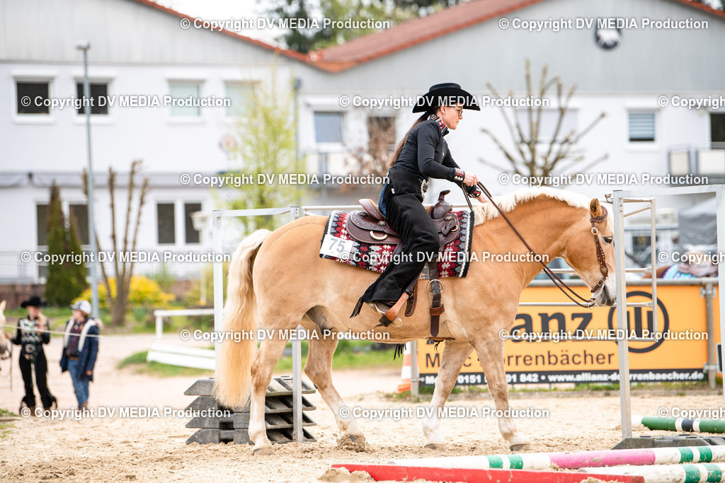 Heiligenwald Tag 1-201 | dv-media-shop - Realisiert mit Pictrs.com