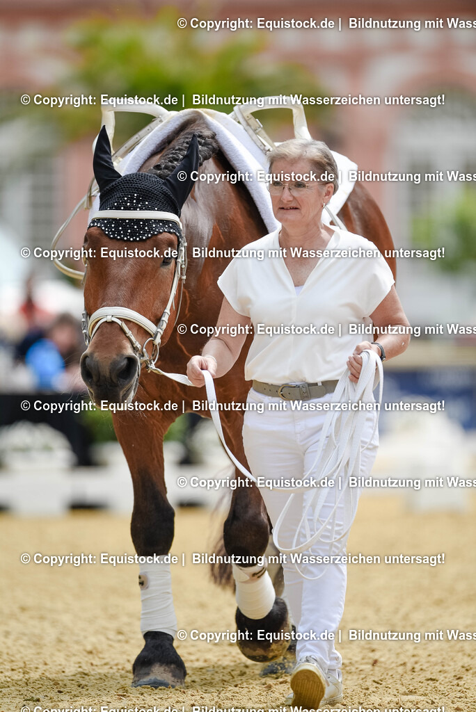 20250608_CVI-Masterclass_0479 | Foto: Thomas Hartig