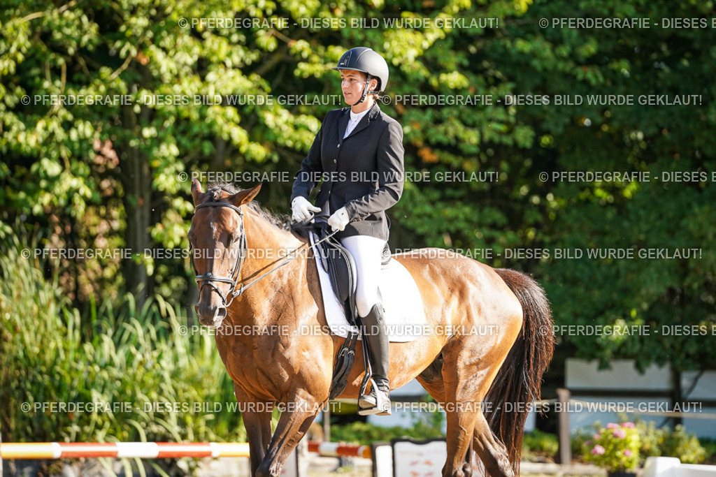 DSC08458 | Pferdegrafie