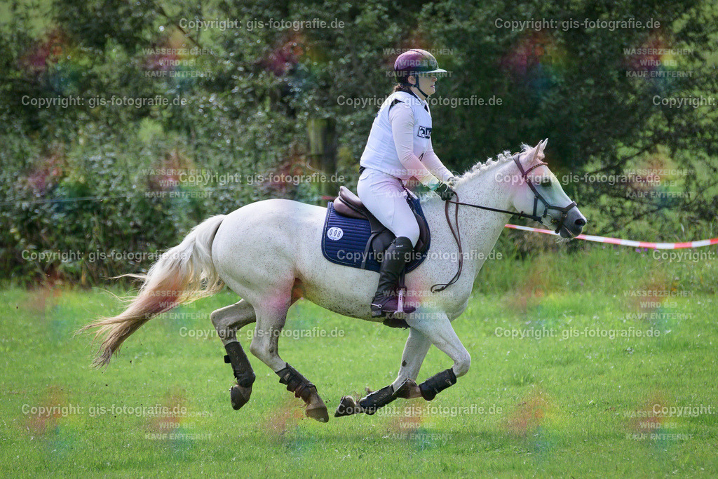 008_Gerhards_Frieda_Atlantic-New-Dawn_VS-E_Gelände_250803_03 | gis-fotografie