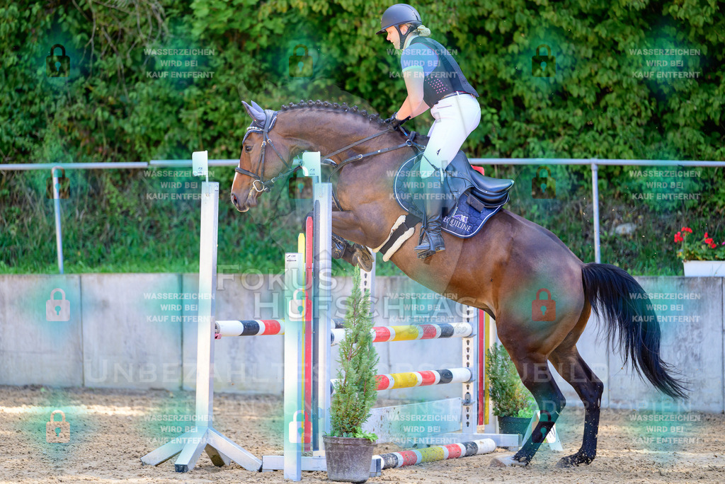 29082026-Giesenbach-Prfg10-0840 | Fokus Hufschlag Fotografie - Realisiert mit Pictrs.com