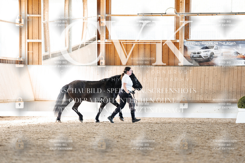 CK906536 | Turnierfotografie Pferdefotografie Trier Rheinland-Pfalz Pferdesport Reitsport Tierfotografie Sportfotografie Pferdevideo Pferdevideografie Equestrianvideography equestrianphotography  - Realisiert mit Pictrs.com