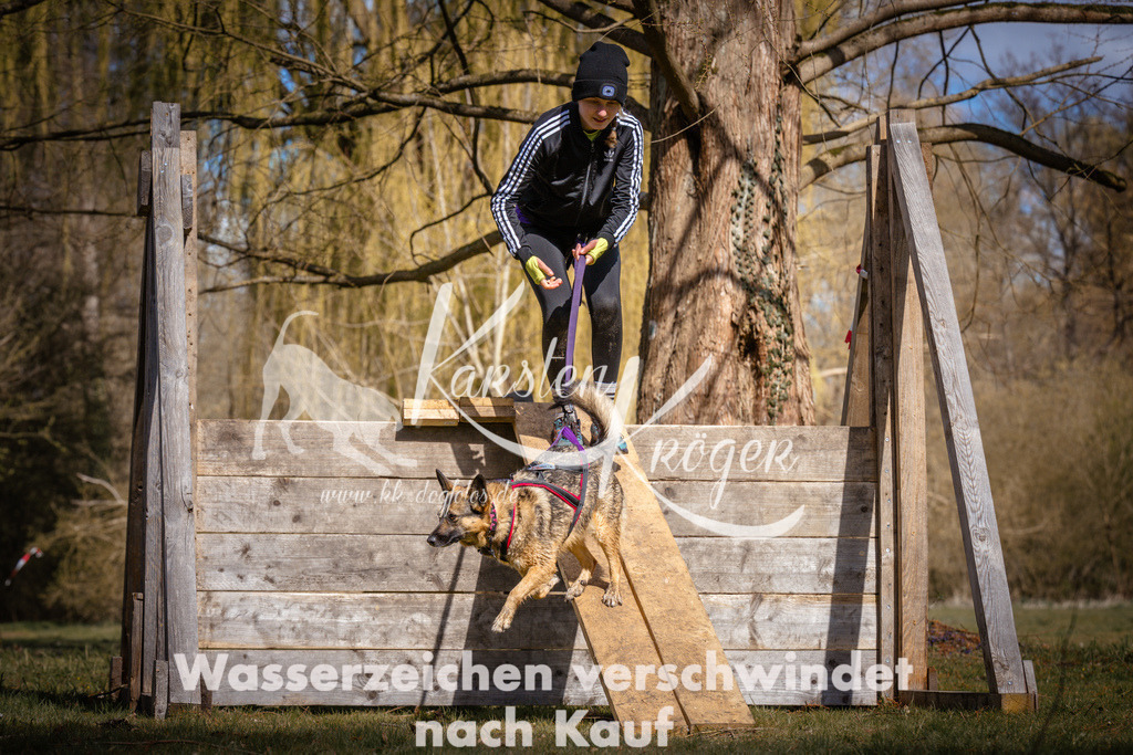 1036_ZZ97896 | kk-dogfotos